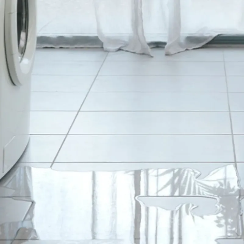 Appliance Leak Cleanup in Atlanta, IL
