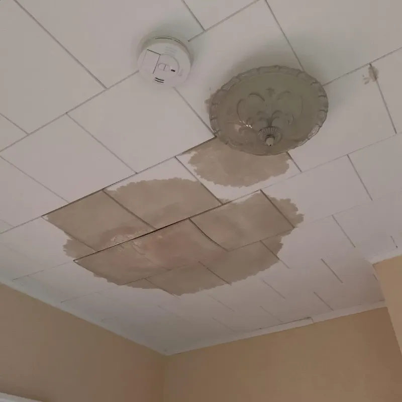 Ceiling Water Damage Repair in Atlanta, IL