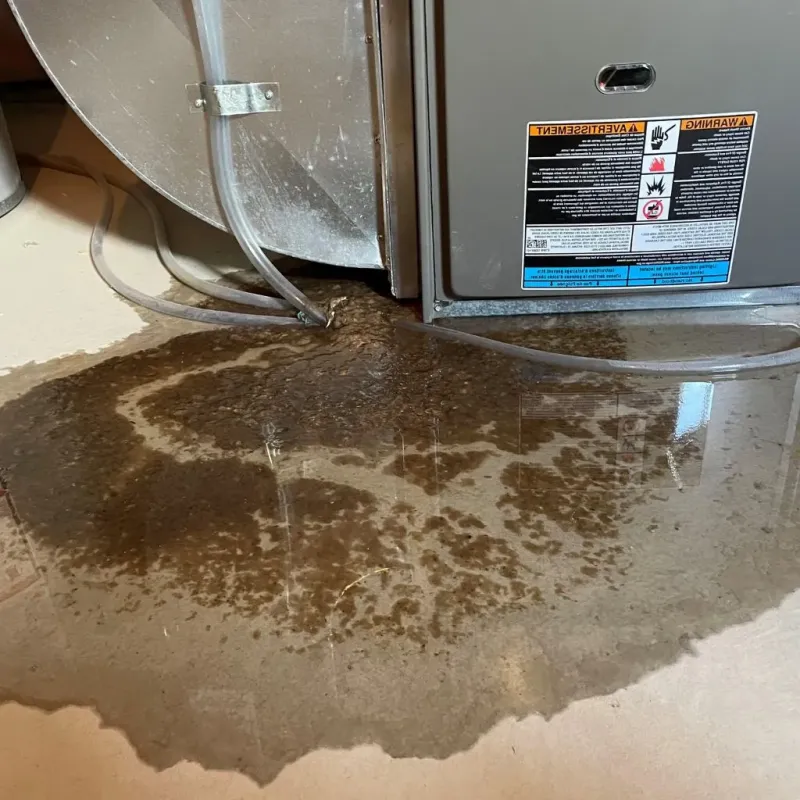 Pipe Burst and Leak Restoration in Atlanta, IL